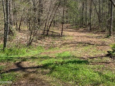 00 Claysville Rd, Crossville, TN 38571 - photo 2