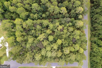 V/L 173A Misty Harbor, Woodbine, GA 31569 - photo 6