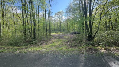 0 Butternut Road & Mahogany Rd, Jim Thorpe, PA 18229 - photo 5