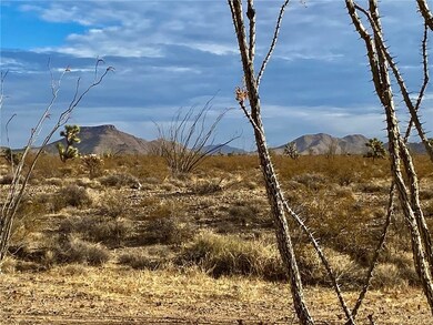 3050 S Dateland Rd, Yucca, AZ 86438 - photo 4