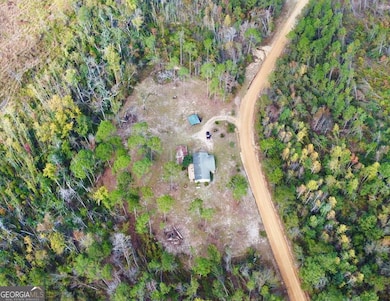 99 Joe Hester Rd, Hazlehurst, GA 31539 - photo 2