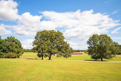 552 Highway 314, Oxford, MS 38655 - photo 7