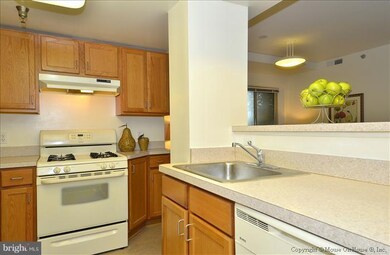 Eastern Village Cohousing unit 201, Silver Spring, MD 20910 - photo 7