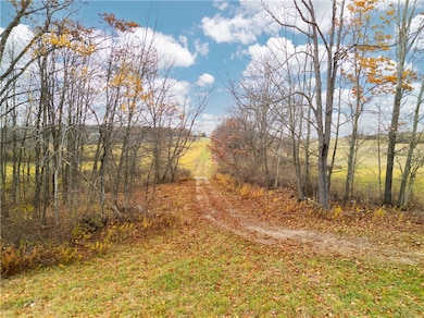 3444 County Route 2, Rathbone, NY 14801 - photo 7