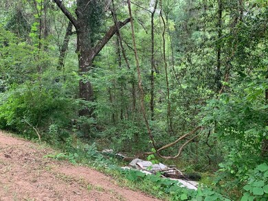 . Fergson Rd Barber Rd Crooked Creek Rd, Silver Creek, MS 39663 - photo 4