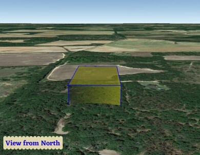 0000 Beulah Ln, Baconton, GA 31716 - photo 6