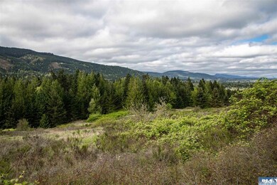 9999 Hillside Dr, Sequim, WA 98382 - photo 7