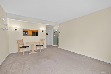 261 Ruth Ct, Middletown, NY 10940 - photo 7