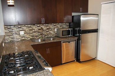 2649 W Haddon Ave unit 2S, Chicago, IL 60622 - photo 5