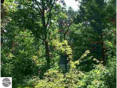 4091 Dry Lake Rd, Alger, MI 48610 - photo 7