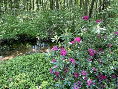 Back yard and creek