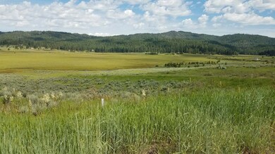 Overlooks Meadow, Creek & Mountains