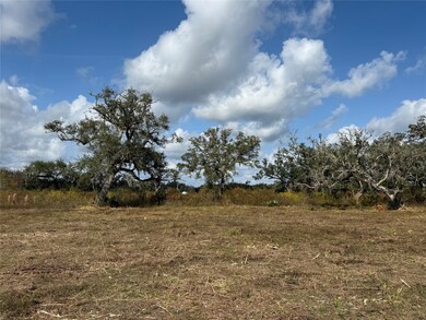 1 County Road 700, Brazoria, TX 77422 - photo 3
