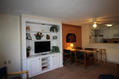 23 Black Bear Way unit 211, Waterville Valley, NH 03215 - photo 2