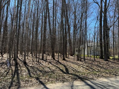 Wooded Lot Again