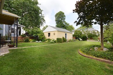 Backyard (2)