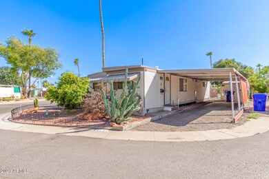 0002-02 - Camelback