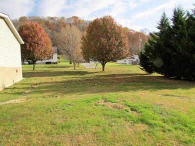 338 E 5th Ave, Watauga, TN 37694 - photo 4