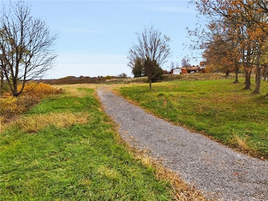 329 Dorseyville, O'Hara, PA 15215 - photo 3