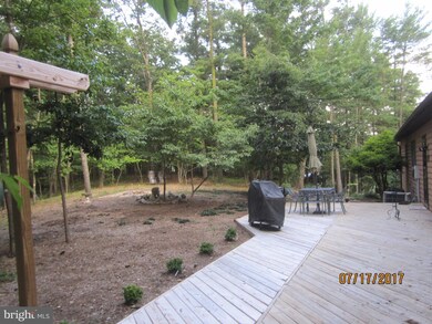 92 Braggs Cave Rd, Basye, VA 22810 - photo 3