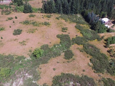 0 Mountain Springs Dr, Sheridan, OR 97378 - photo 4