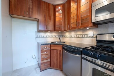 The Windsors unit 7B, Bronx, NY 10471 - photo 7