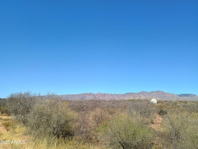 TBD W Desert Mountain Trail, Bisbee, AZ 85603 - photo 7