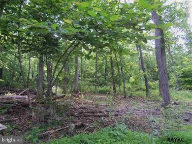 741 Jacks Mountain Rd, Fairfield, PA 17320 - photo 7