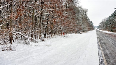 Lots 11 & 14 County Road A, Grand Marsh, WI 53936 - photo 4