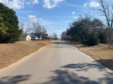 515 E Altamaha St, Fitzgerald, GA 31750 - photo 6