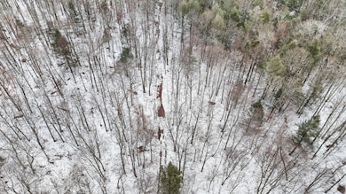 00 Lamb Rd, Newark Valley, NY 13811 - photo 4