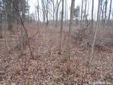 Other woods
