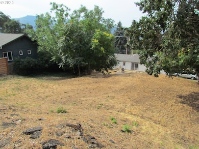 0 Lot Off Vine St, Whitesalmon, WA 98672 - photo 3