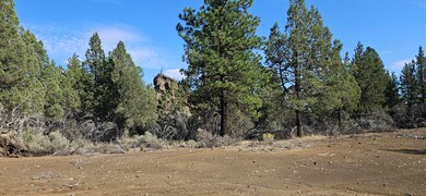 0 Little Fawn Dr unit 10 220209377, Chiloquin, OR 97624 - photo 3