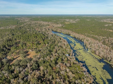 85 Saint Marks Rise Rd, Crawfordville, FL 32327 - photo 2