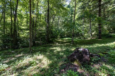 Lot 7 S Cliff Rd, Cullowhee, NC 28723 - photo 7