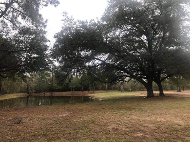 0 Fm 1488 unit 82085685, Waller, TX 77484 - photo 4