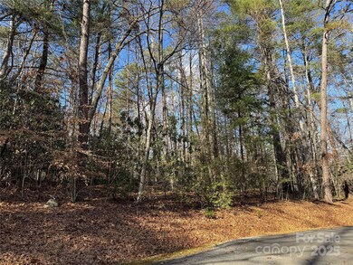 137 Nancy Ashworth Ln unit 13, Fairview, NC 28730 - photo 4