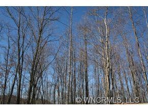 Beautiful Homesite