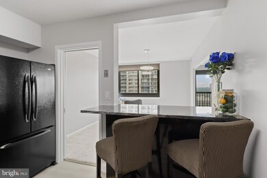 5501 Seminary Rd unit 1904S, Baileys Crossroads, VA 22041 - photo 7