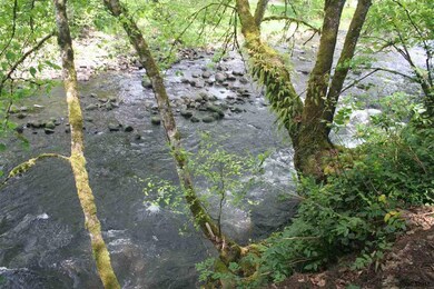 17765 S Abiqua Rd NE, Silverton, OR 97381 - photo 5