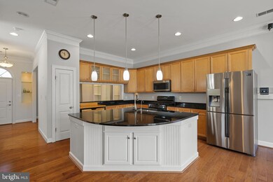 9000 Ribbon Falls Loop, Bristow, VA 20136 - photo 3