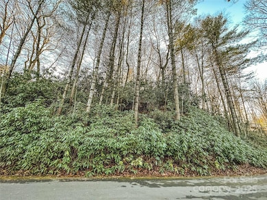 D17 Caroline Ln, Pisgah Forest, NC 28768 - photo 4