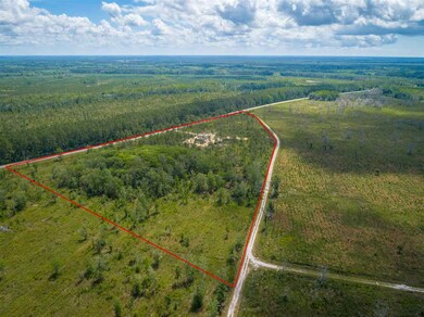 5237 Bloxham Cutoff Rd, Crawfordville, FL 32327 - photo 3