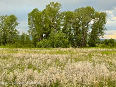 IMG_1814