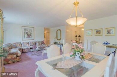 4600 Alcott Way unit 205, Owings Mills, MD 21117 - photo 7