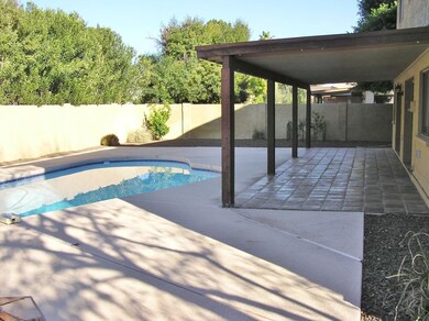 LOTS OF BEAUTIFUL TREES FOR PRIVACY