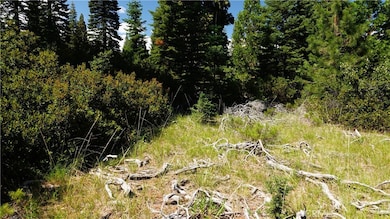 0 Echo Way unit ND25124728, McCloud, CA 96067 - photo 2