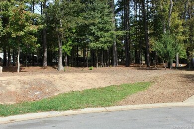 Lot #351 Crepe Ridge Dr unit 351, Denver, NC 28037 - photo 2