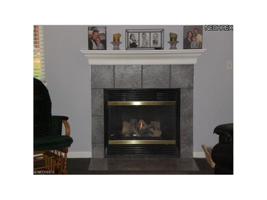 GAS FIREPLACE. JUST FLIP THE SWITCH!